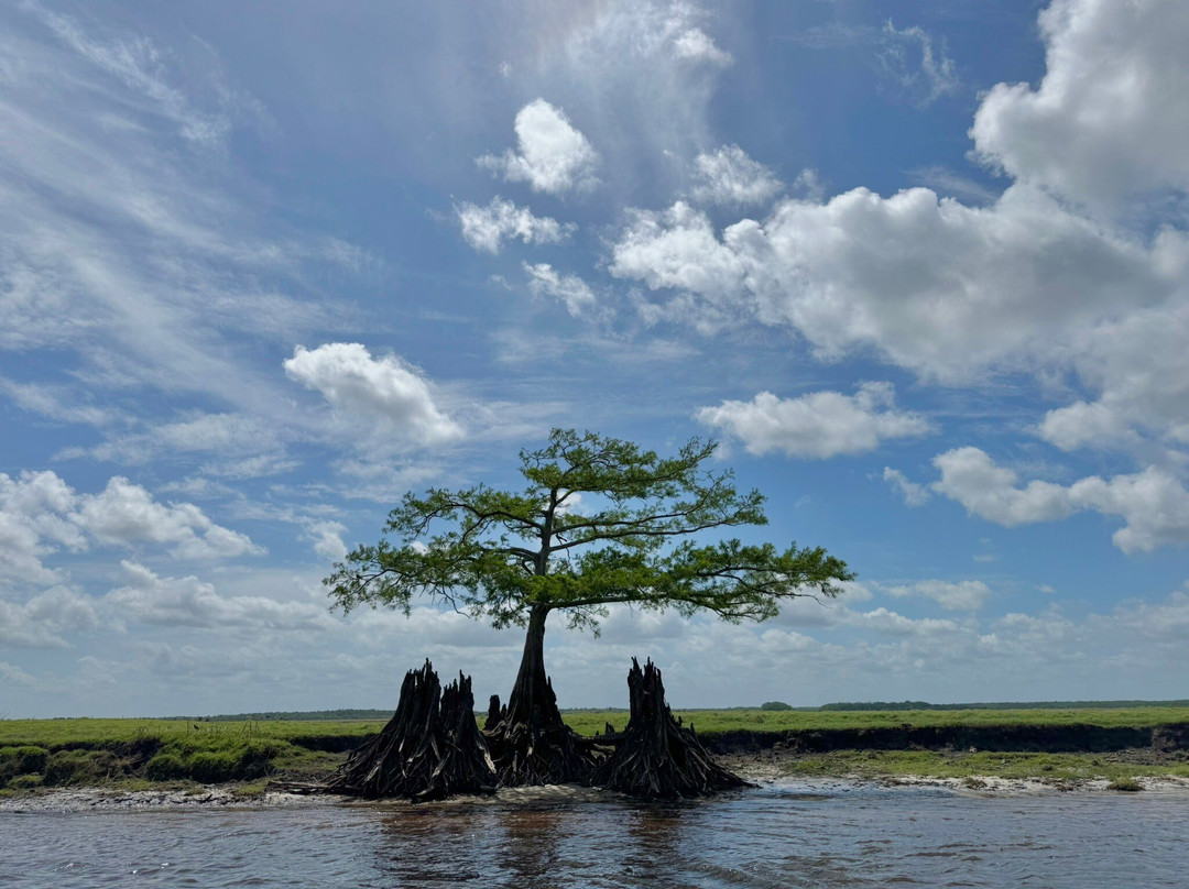 AirBoat Rides at Midway-Christmas必去景点
