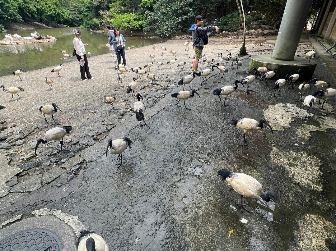 名护Neo自然动植物公园-名护市必去景点