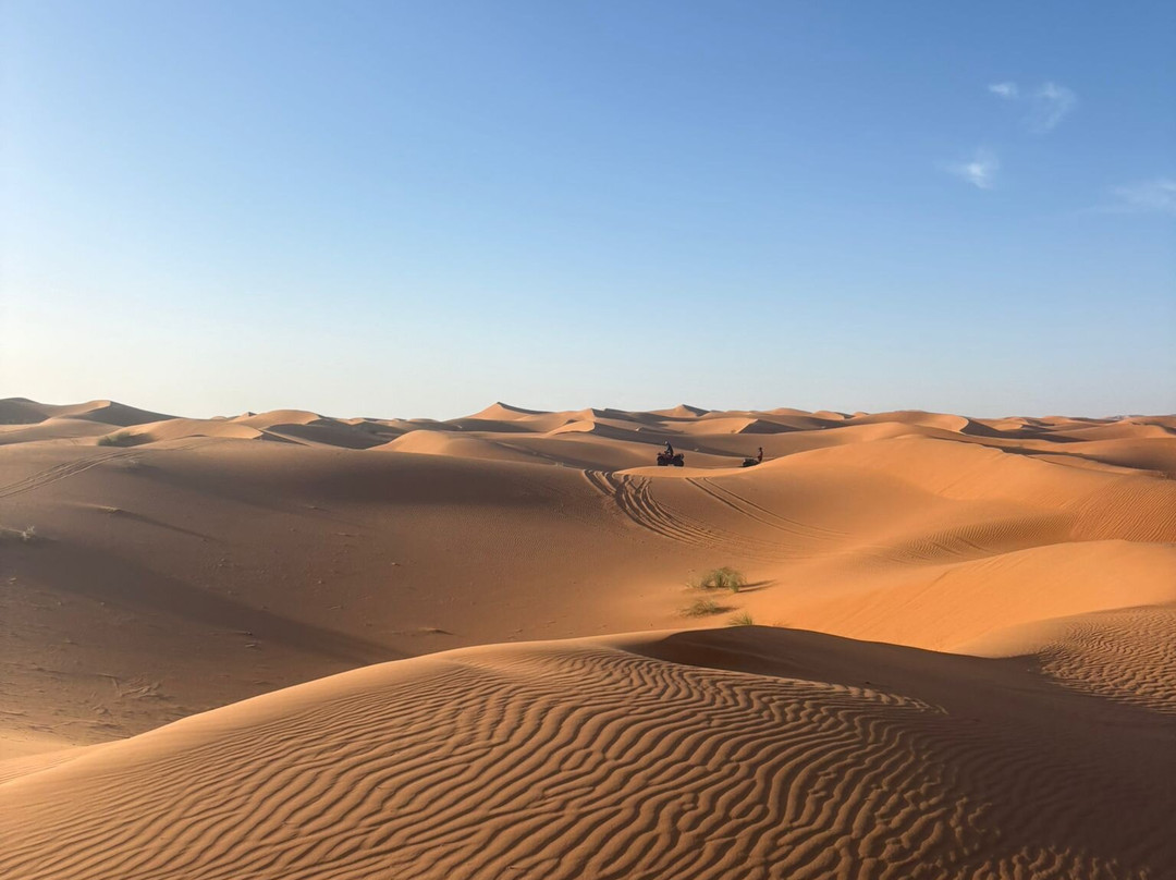 Desert Unlimited Morocco - Day Tours-瓦尔扎扎特必去景点