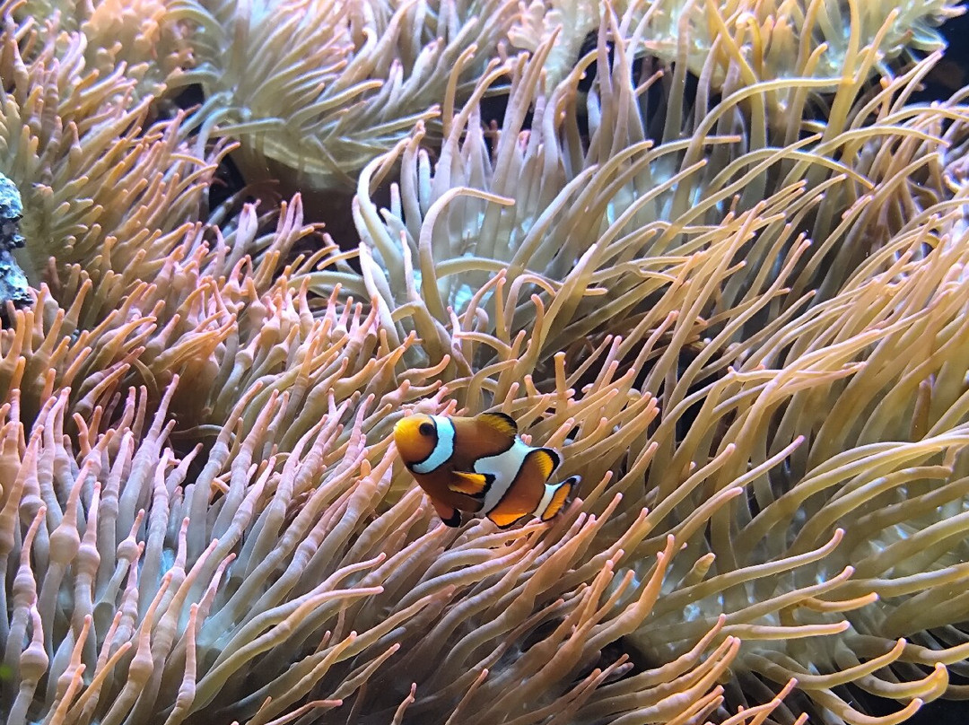 MUSE - Science Museum-特伦托必去景点