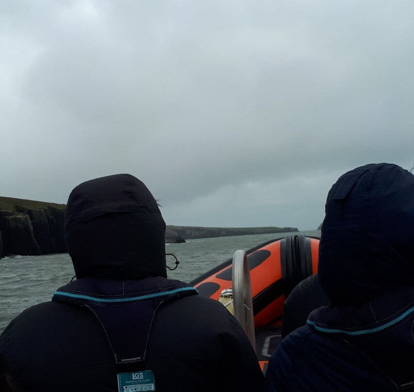 A Bay To Remember Wildlife Boat Trips-St. Dogmaels必去景点