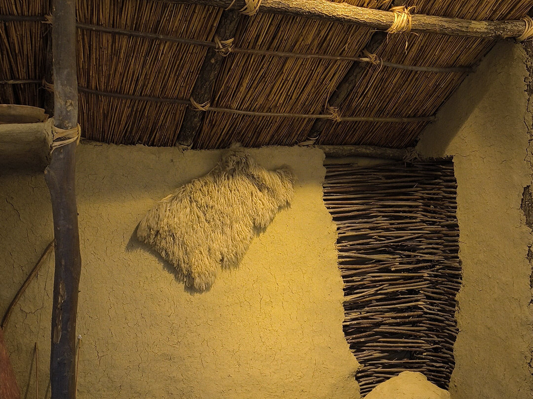 Muzeul Universitatii Alexandru Ioan Cuza-雅西必去景点