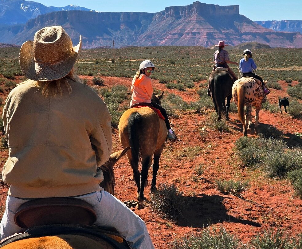 Moab Horses-莫阿布必去景点