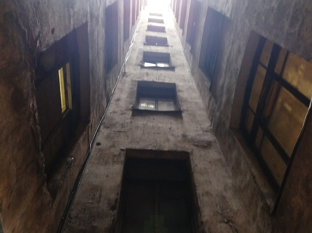 St. Petersburg Walks With Dmitry Kaplun-圣彼得堡必去景点