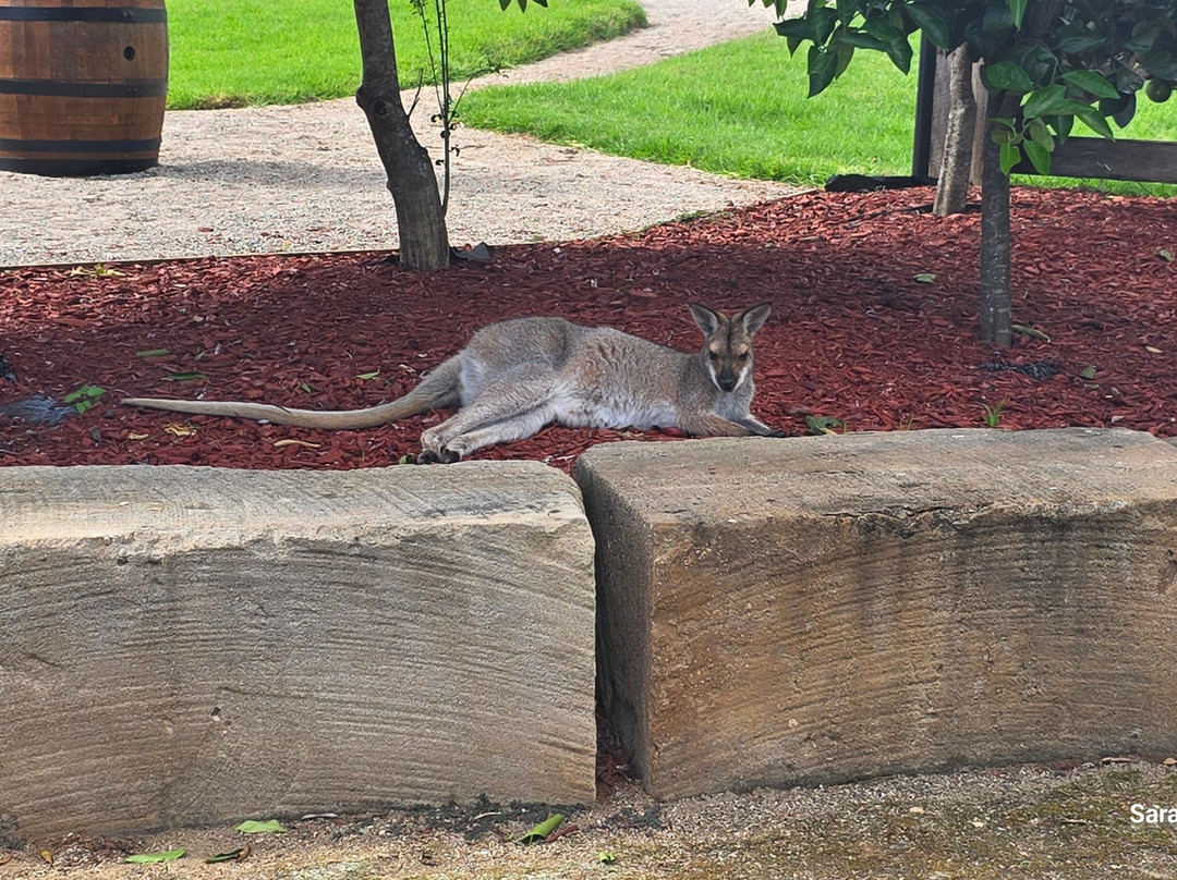 比奇蒙特庄园主图