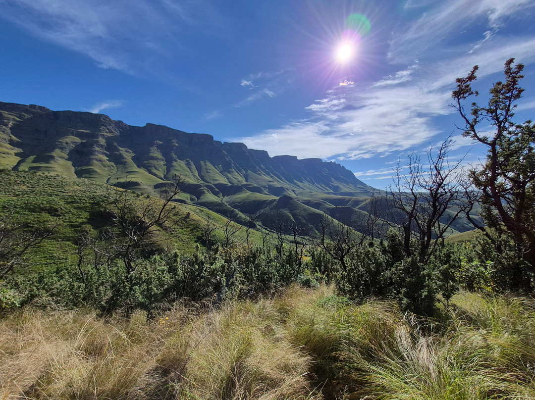Birds and Beyond-Himeville必去景点