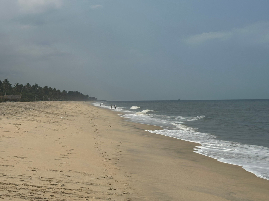 火烈鸟精品别墅主图