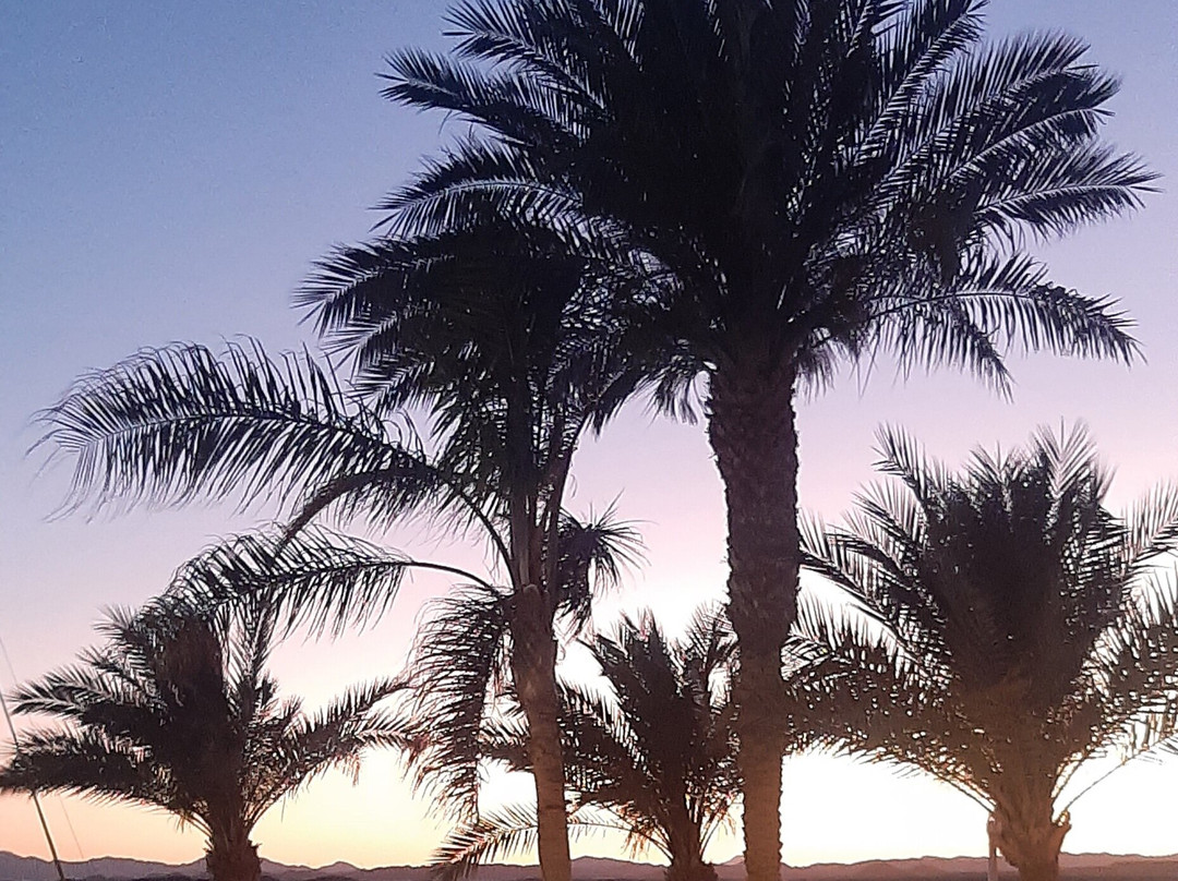 加利卜港滨海旅舍主图