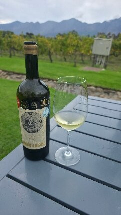 Holden Manz Wine Estate-法兰舒克必去景点
