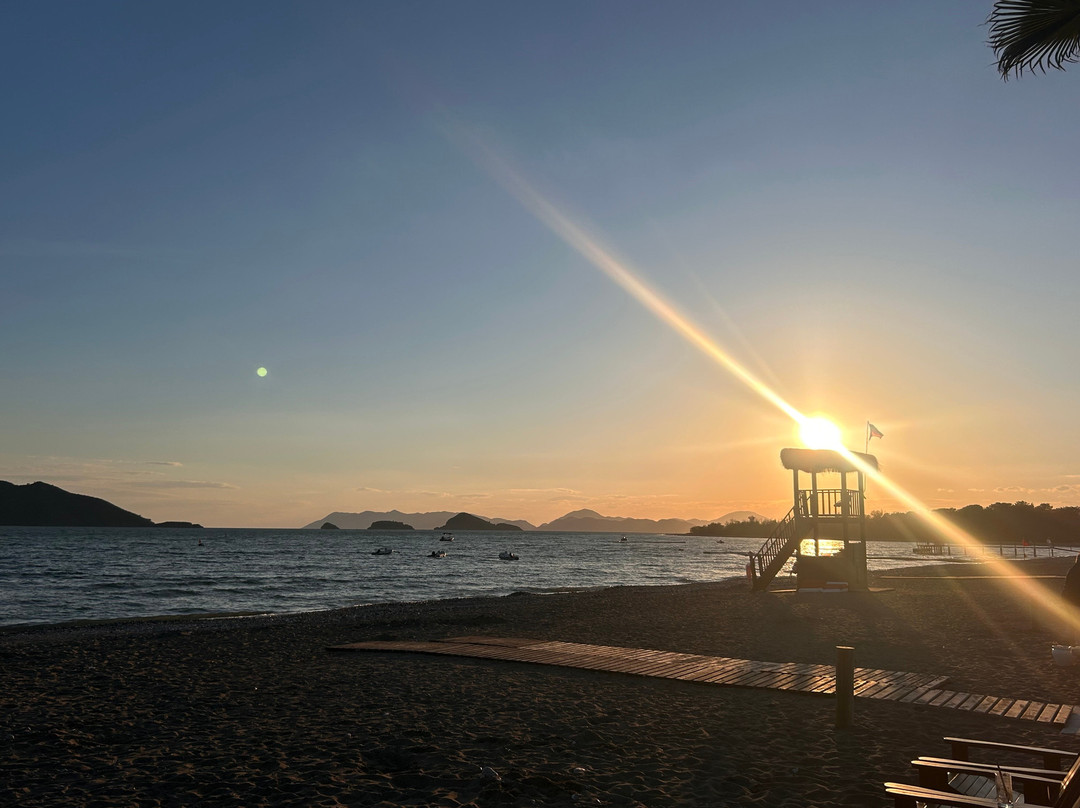 自由法贝酒店主图