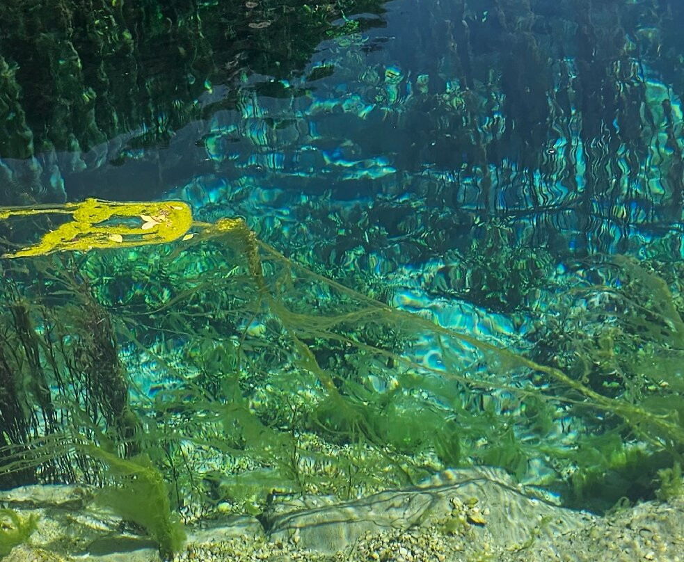 Sorgente della Morìca di Stifone-Narni必去景点