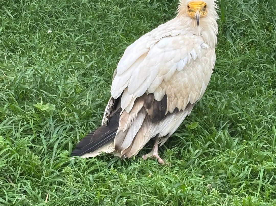 Tierra Rapaz-Calahorra必去景点