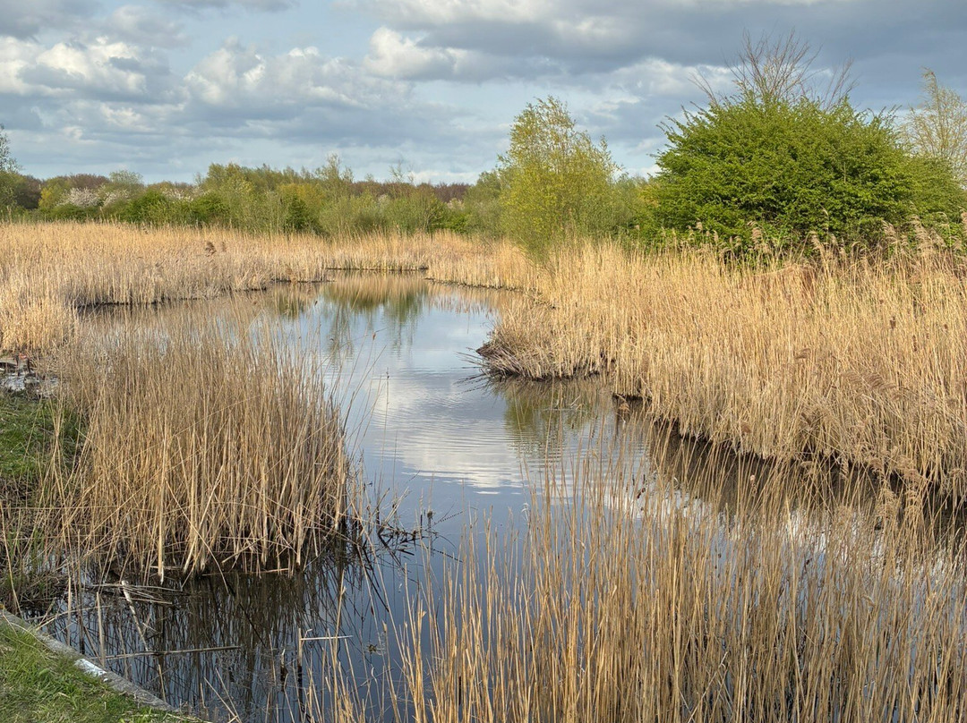 Schinkelbos-Aalsmeer必去景点