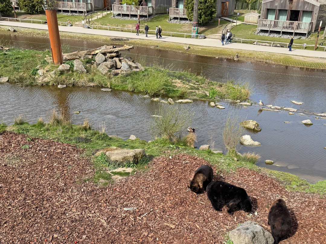 Pairi Daiza-Brugelette必去景点