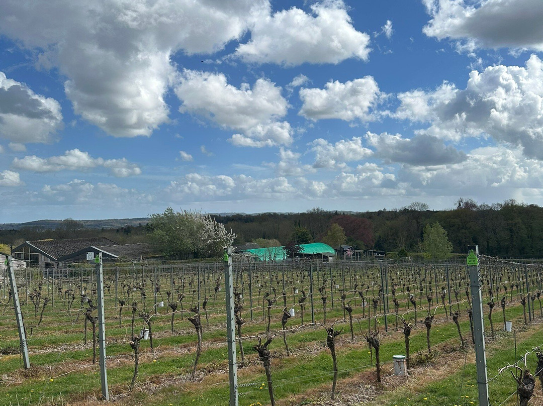 Greyfriars Vineyard-Puttenham必去景点