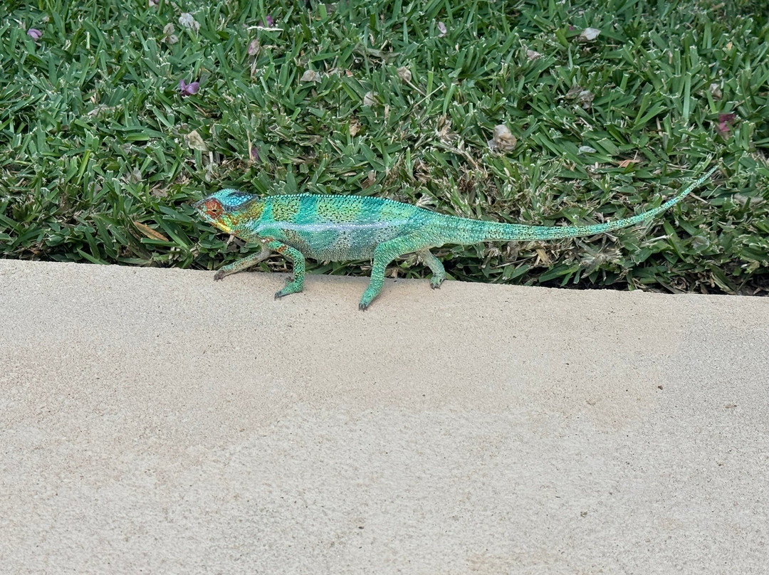 VOI Amarina Resort主图