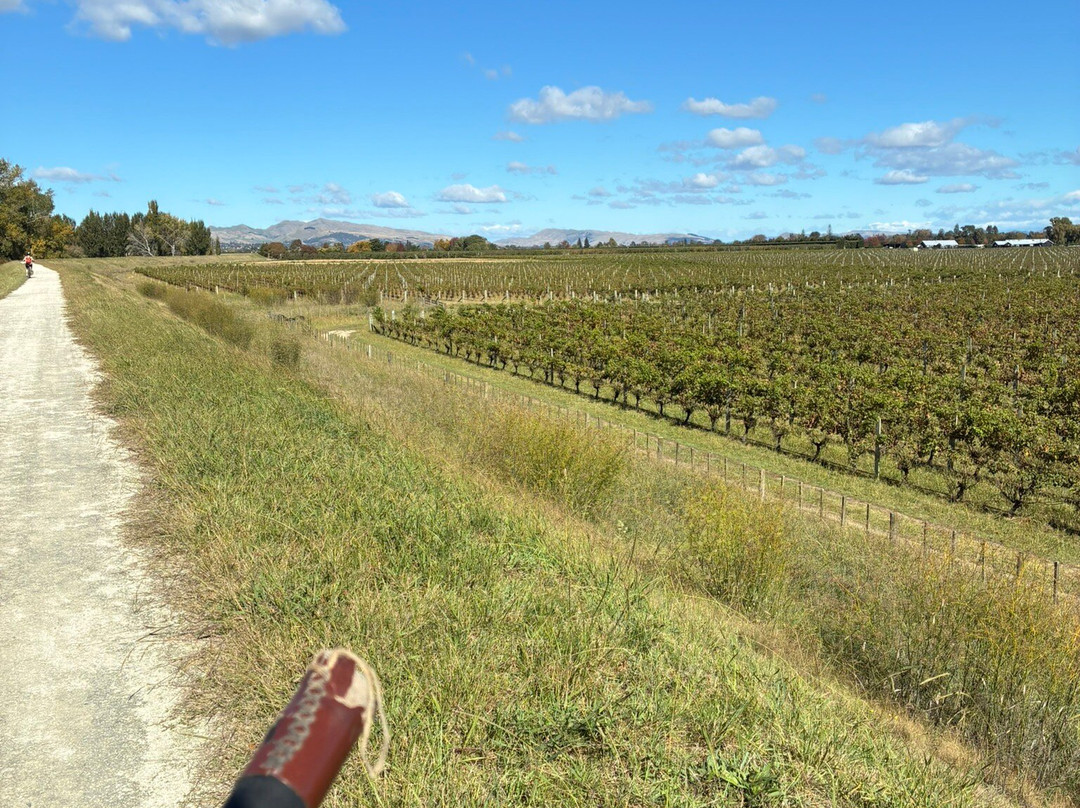 Coastal Wine Cycles-Te Awanga必去景点