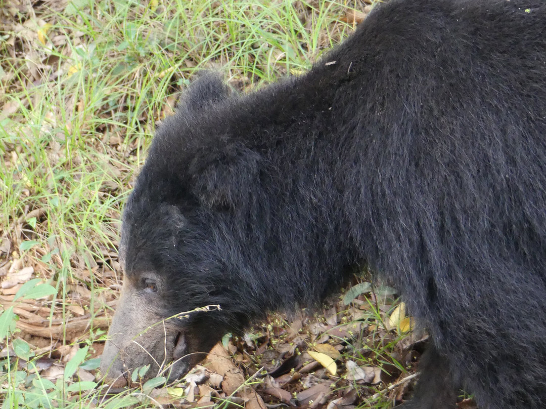 锡兰度假村主图