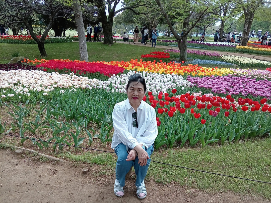 国营昭和纪念公园-立川市必去景点
