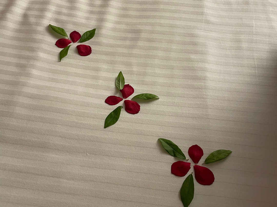 柯钦堡酒店主图