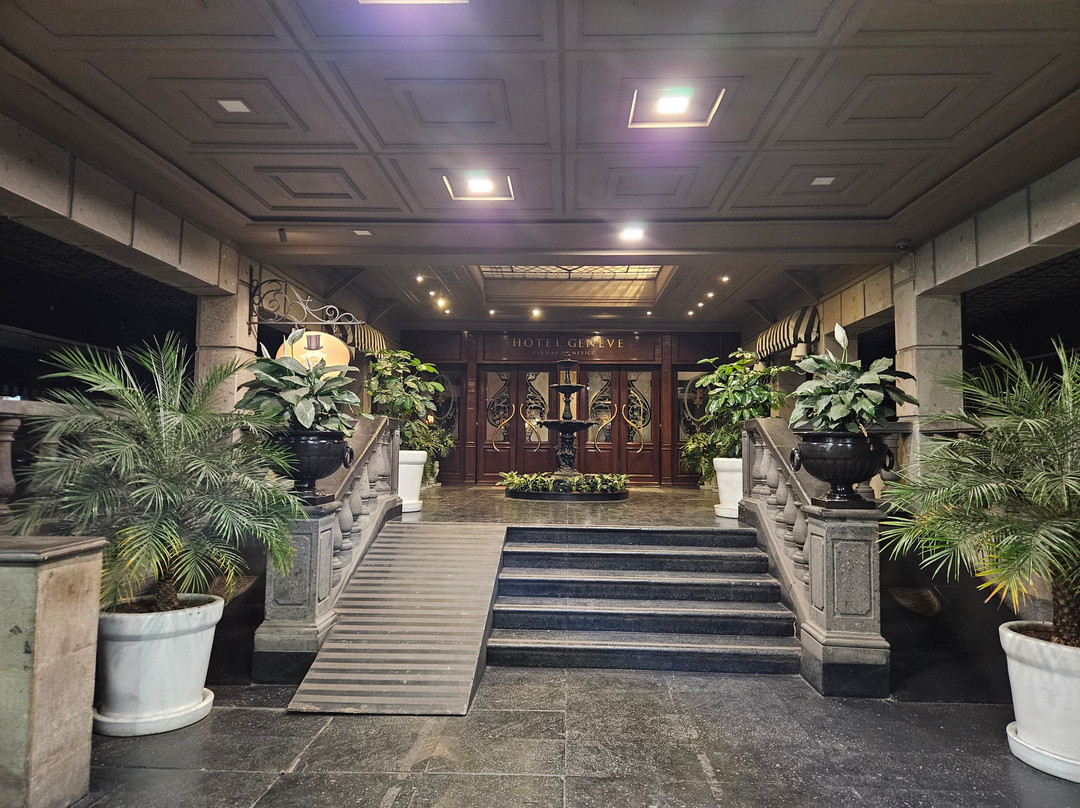 日内瓦酒店主图