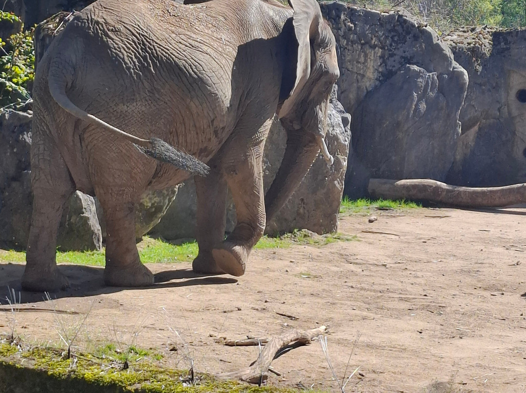Zoo Duisburg-杜伊斯堡必去景点