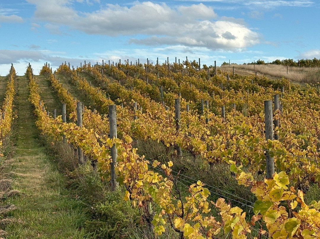 Georges Road Wines-Waipara必去景点