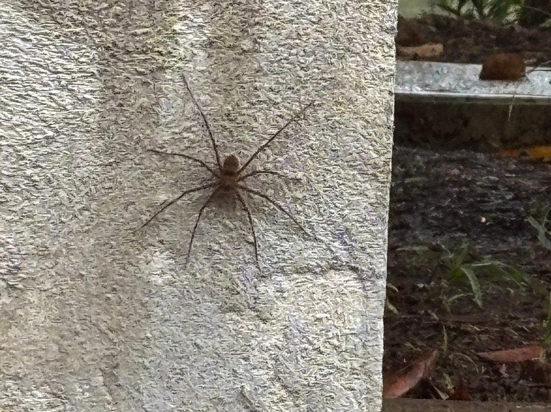 拉古纳小屋全膳主图