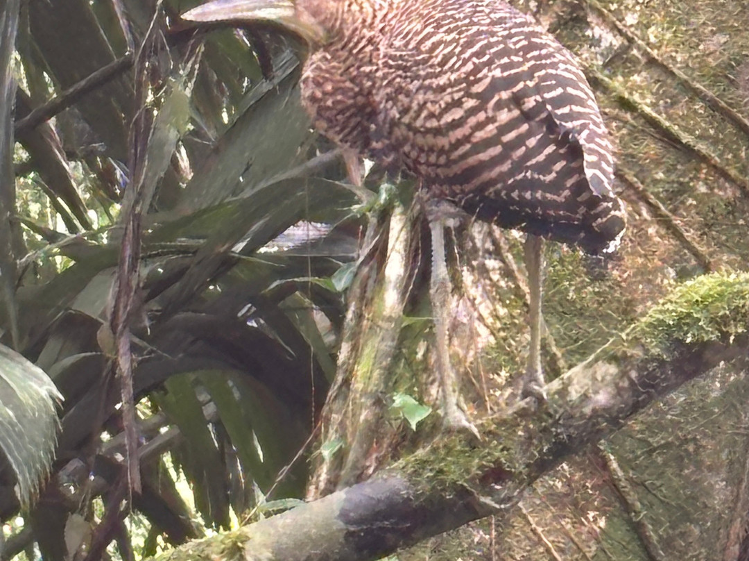 拉古纳小屋全膳主图