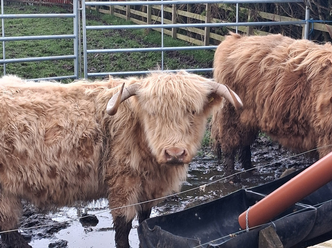 Craigbank Farm-Kilmarnock必去景点