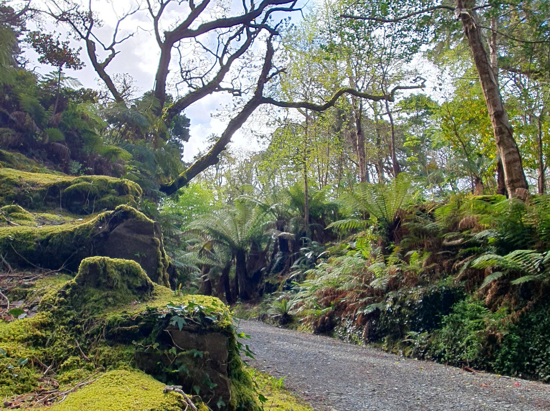 Kells Bay House & Gardens-Cahersiveen必去景点