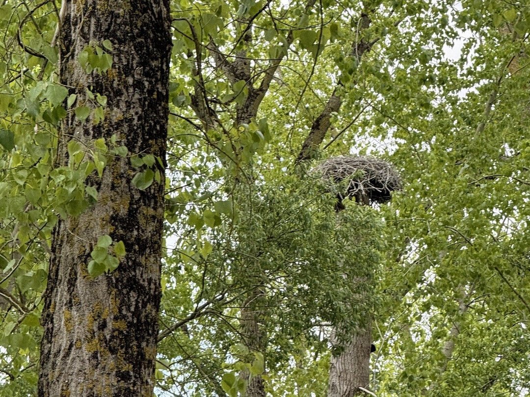 Embarcadere Cardinaud - Marais poitevin-Nouvelle-Aquitaine必去景点
