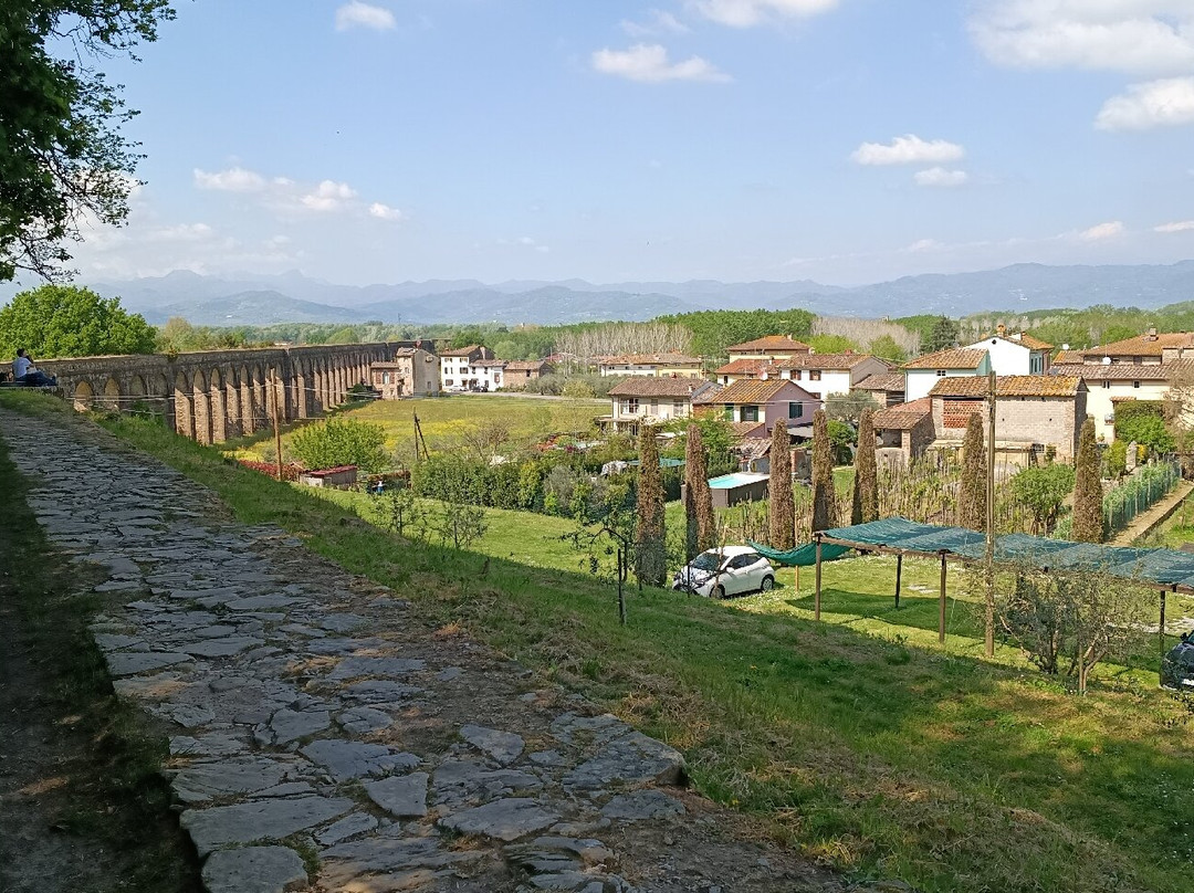 Acquedotto del Nottolini-卢卡必去景点