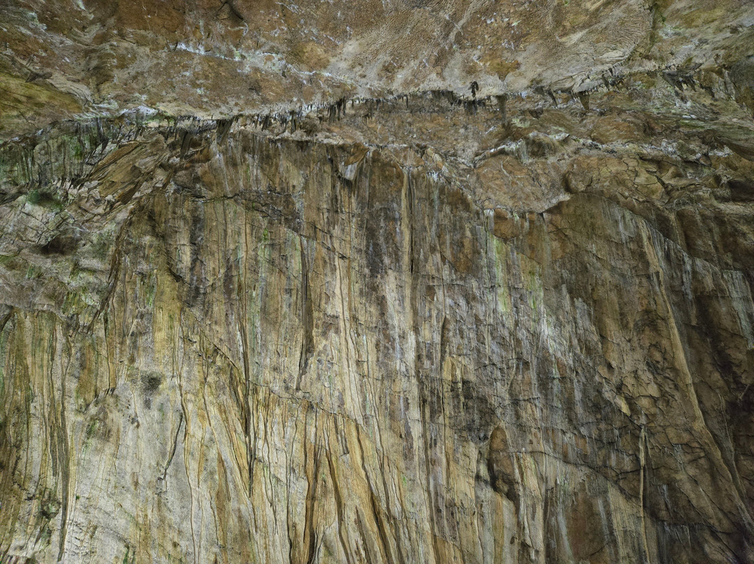 Ialomicioara Monastery and Cave-锡纳亚必去景点