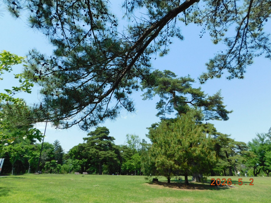 Sayama Inariyama Park-狭山市必去景点