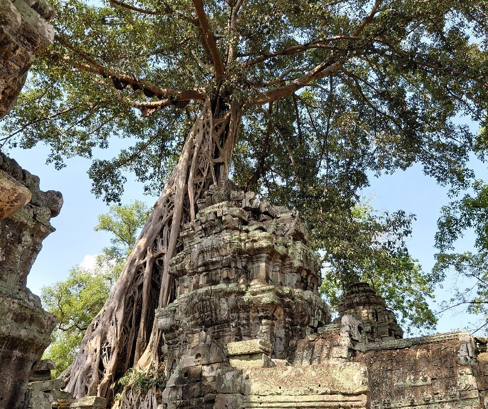 Jimmy  Private Angkor Guide & Driver-暹粒必去景点