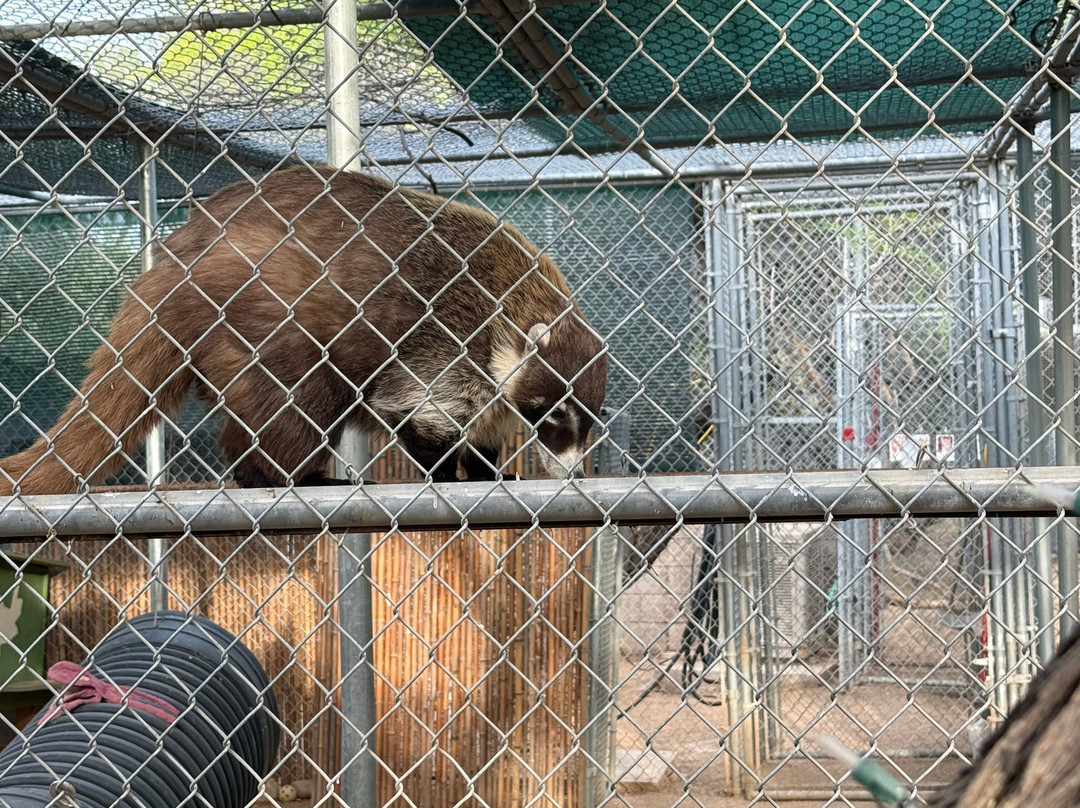 Southwest Wildlife Conservation Center-斯科茨代尔必去景点