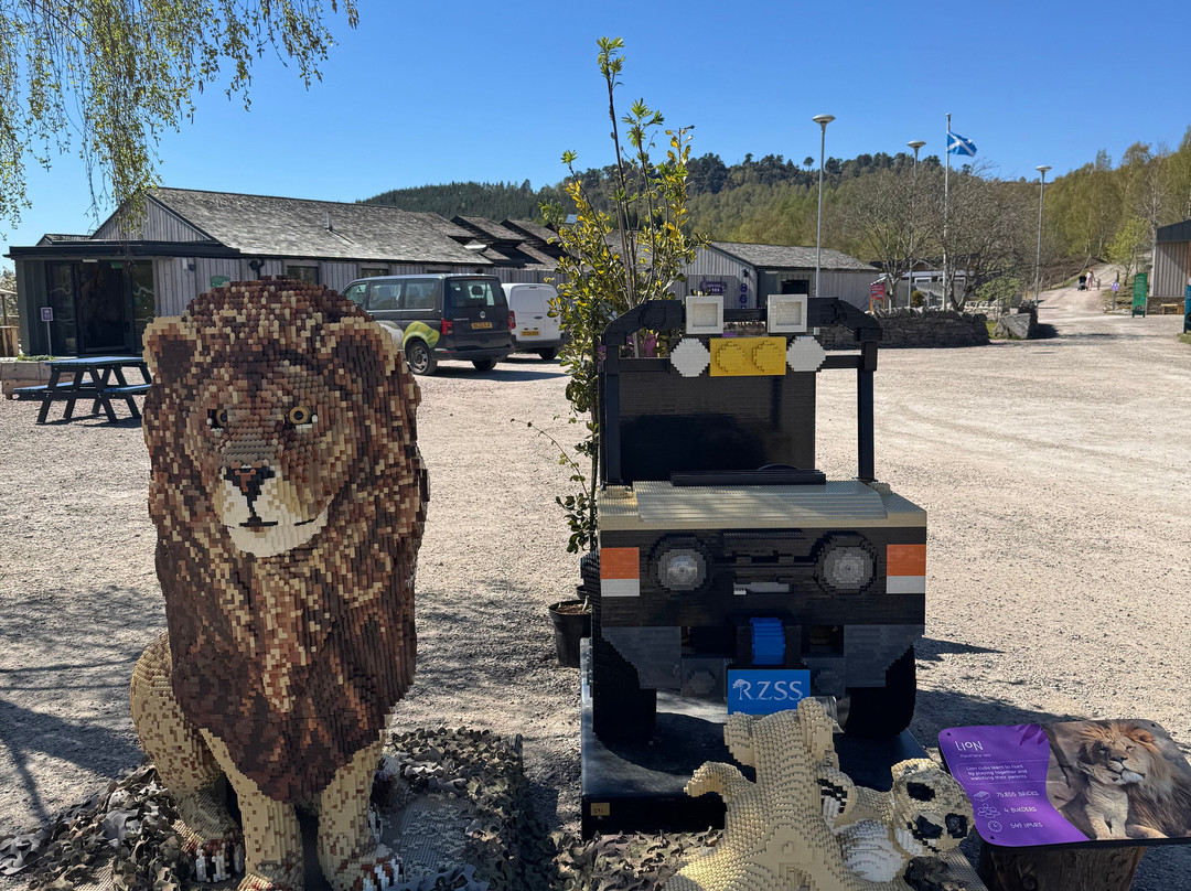 Highland Wildlife Park-Kincraig必去景点