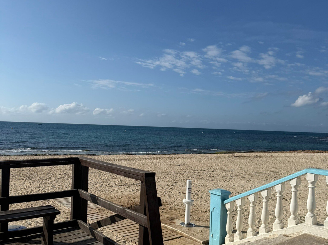 Playa de Los Locos-托雷维耶哈必去景点