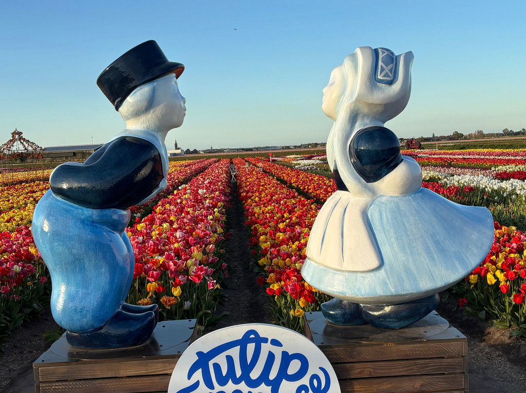 Tulip Experience Amsterdam-诺德韦克豪特必去景点
