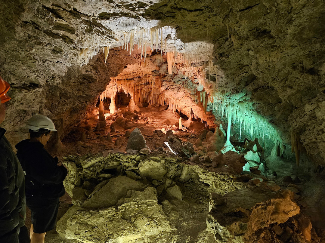 Kaikōura Cave Tours-Kaikoura必去景点