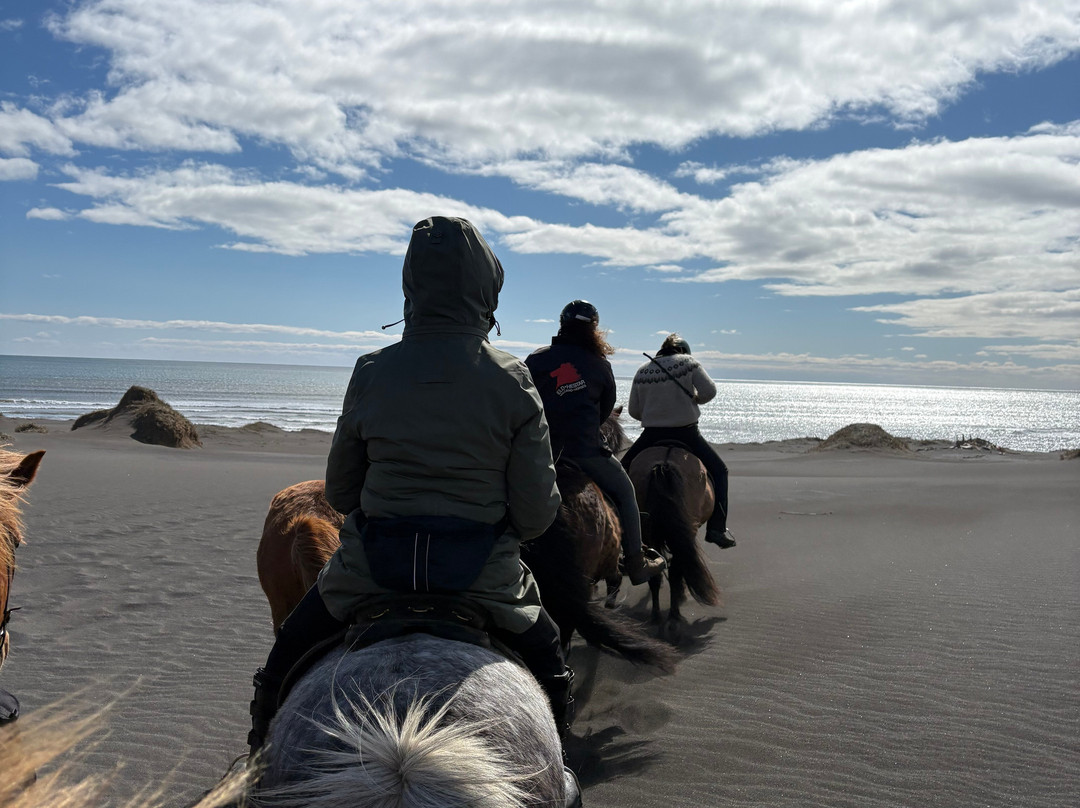 Eldhestar Volcano Horses-Olfus必去景点