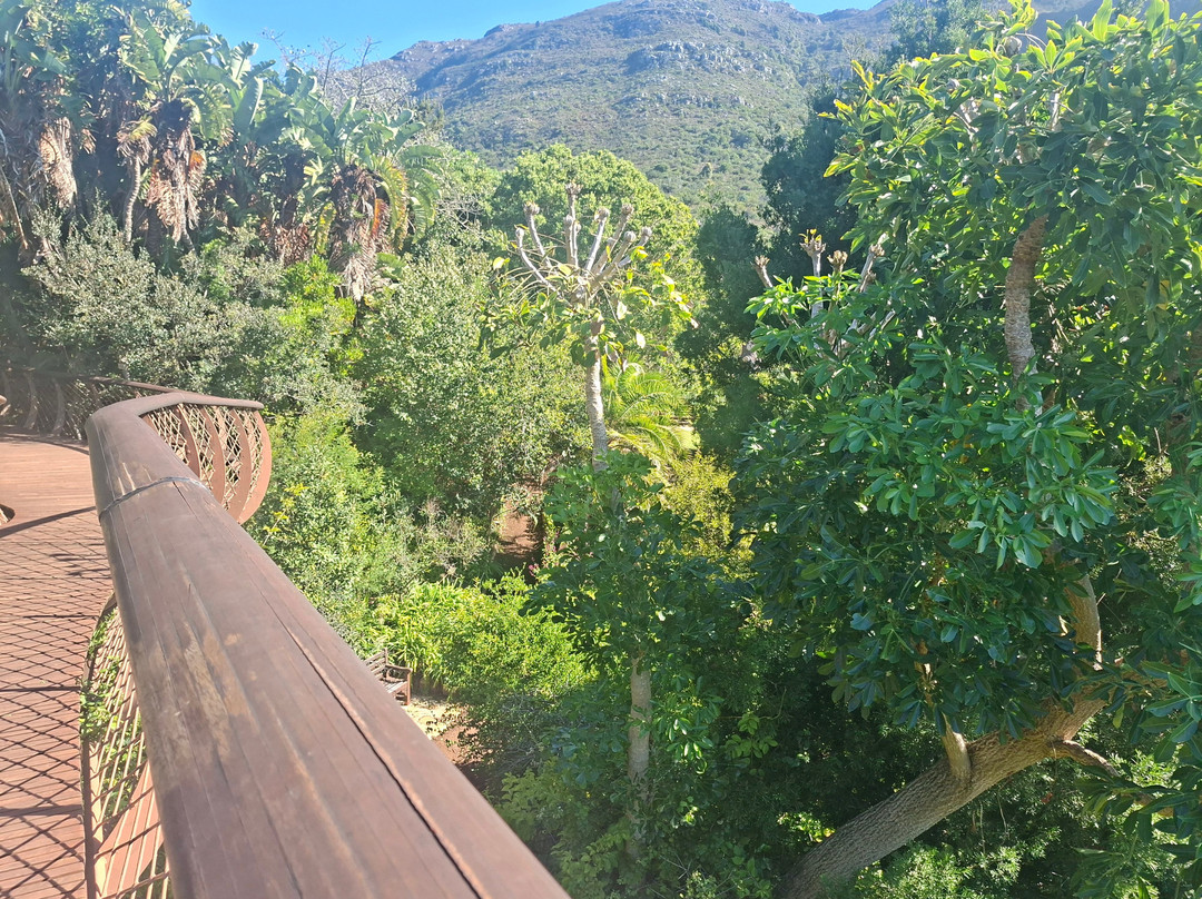 康斯坦博西国家植物园-Newlands必去景点