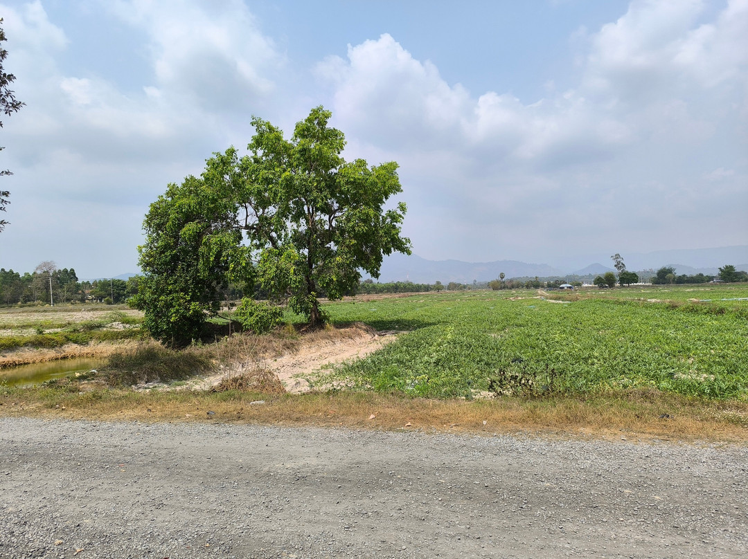 The Thailand-Burma Railway Centre-北碧必去景点