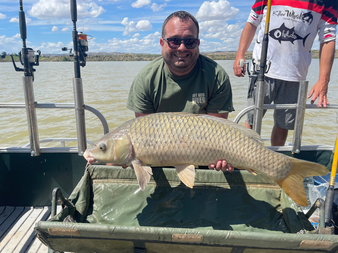 River Ebro Catfishing Holidays-Caspe必去景点