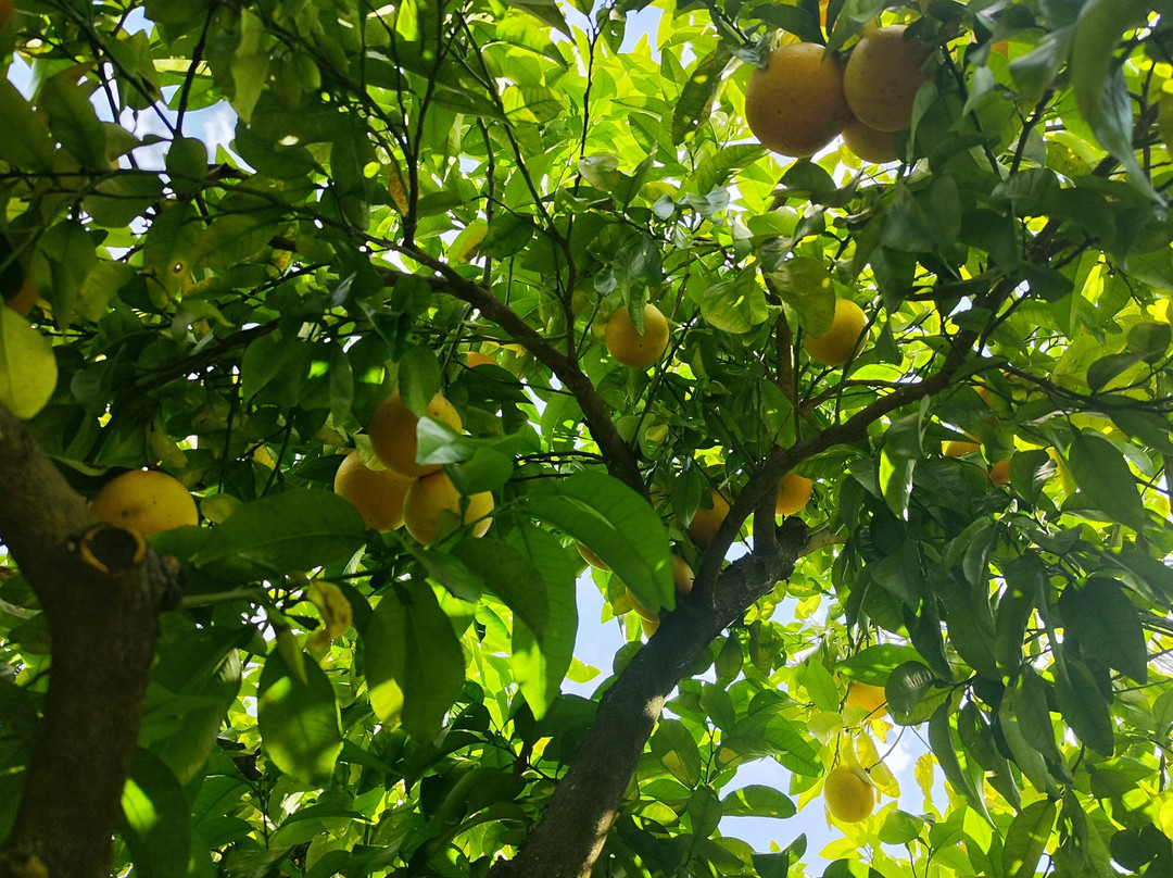 Les Jardins de la Quinta das Mil Flores-Pedrogao Grande必去景点