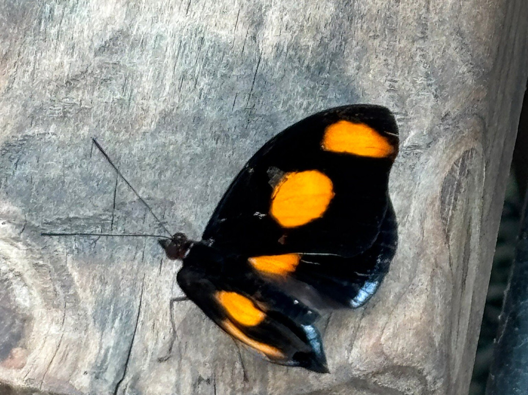 The Bug Parc-Lenwade必去景点