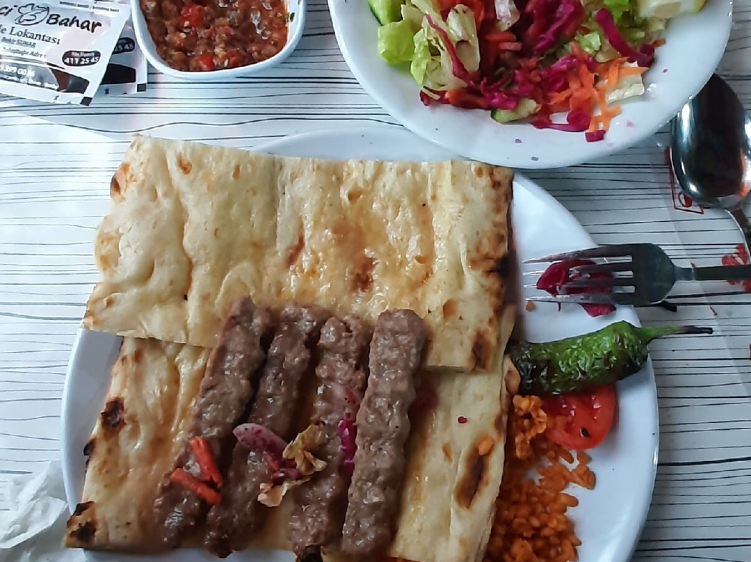ikinci Bahar Aile