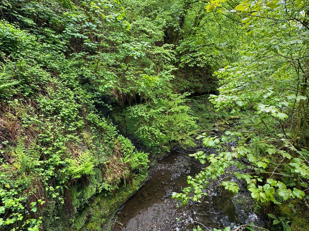Henrhyd Falls-Coelbren必去景点
