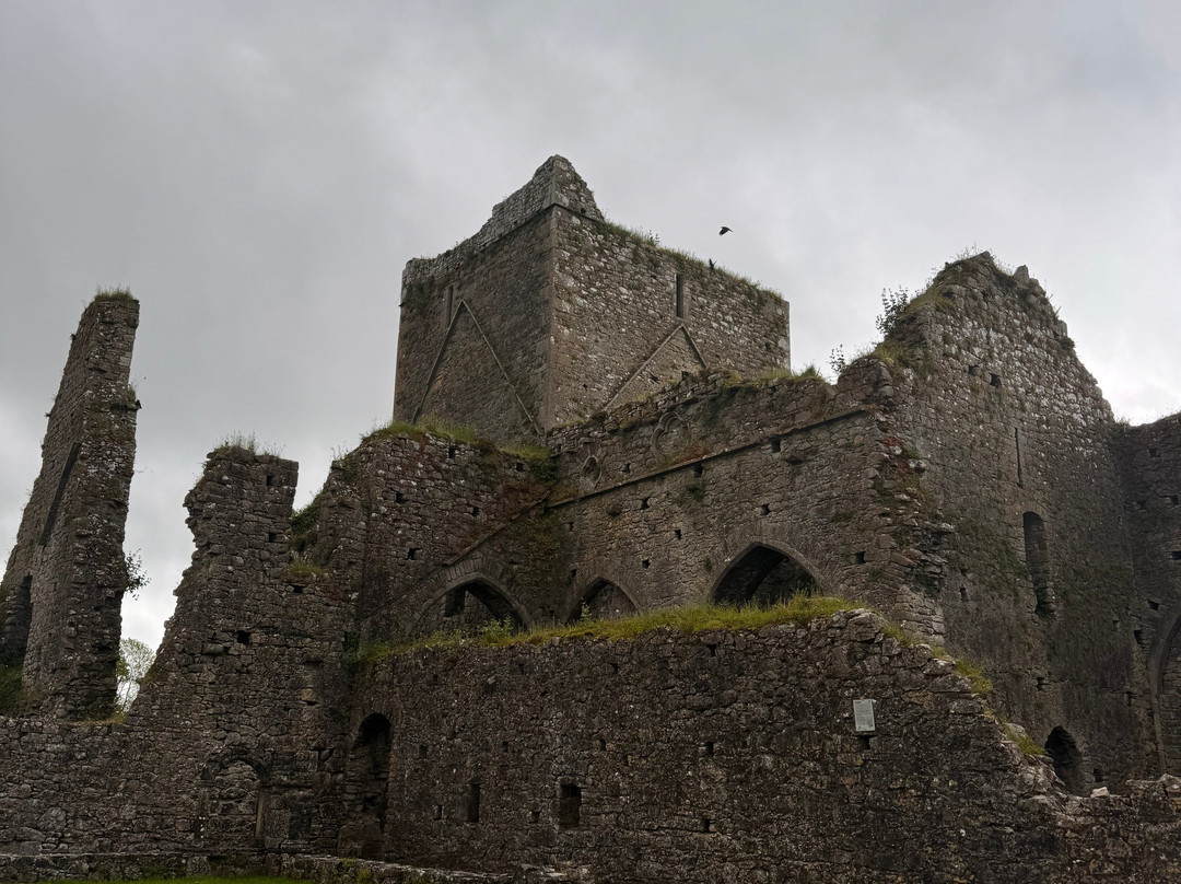 Hore Abbey-卡舍尔必去景点